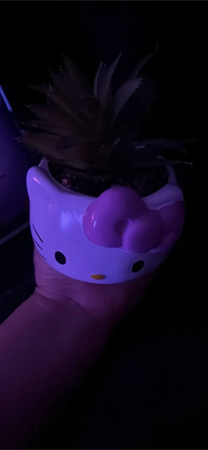 Hello Kitty Planter image indicator(2)