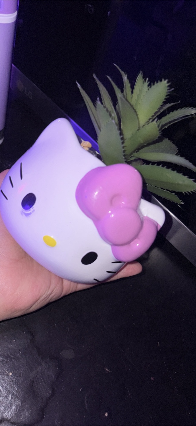 Hello Kitty Planter