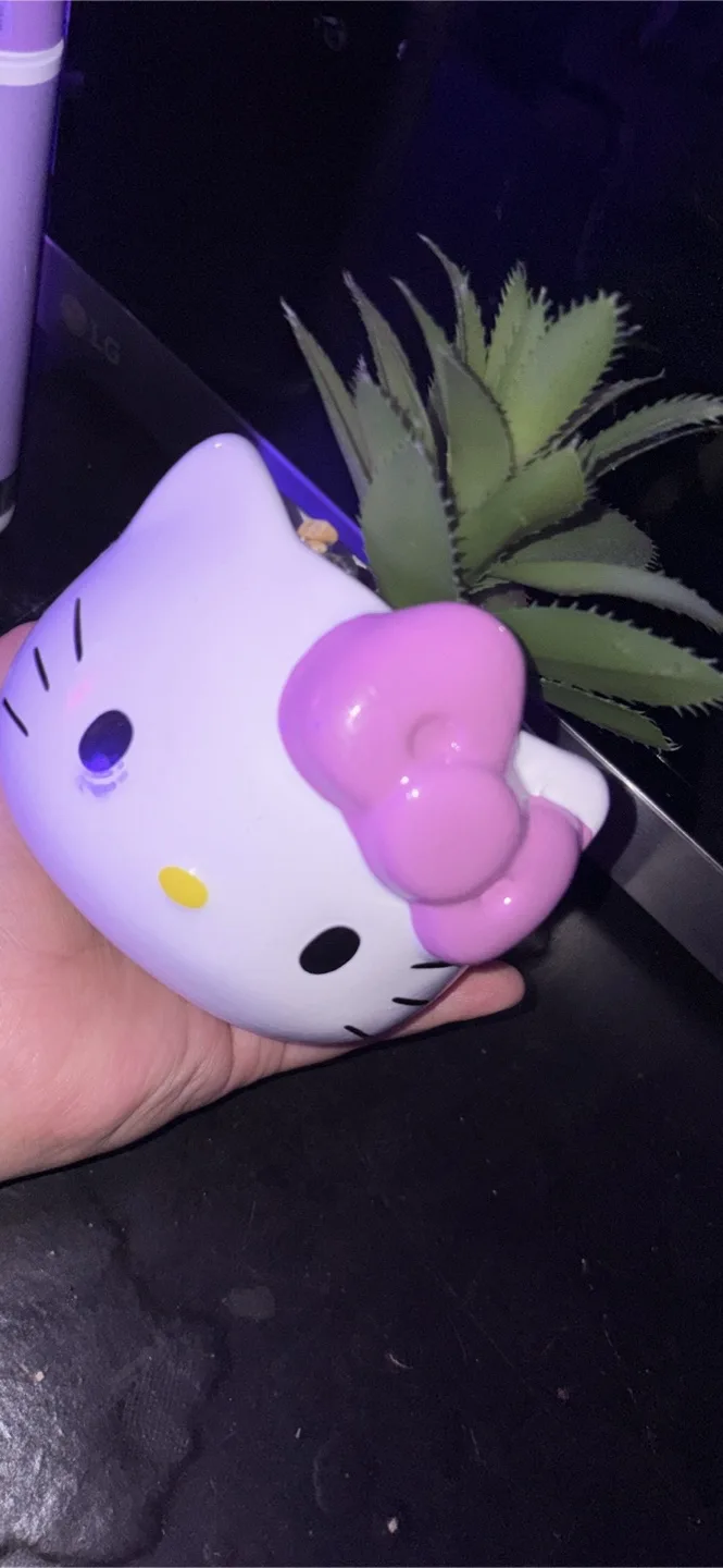 Hello Kitty Planter thumbnail