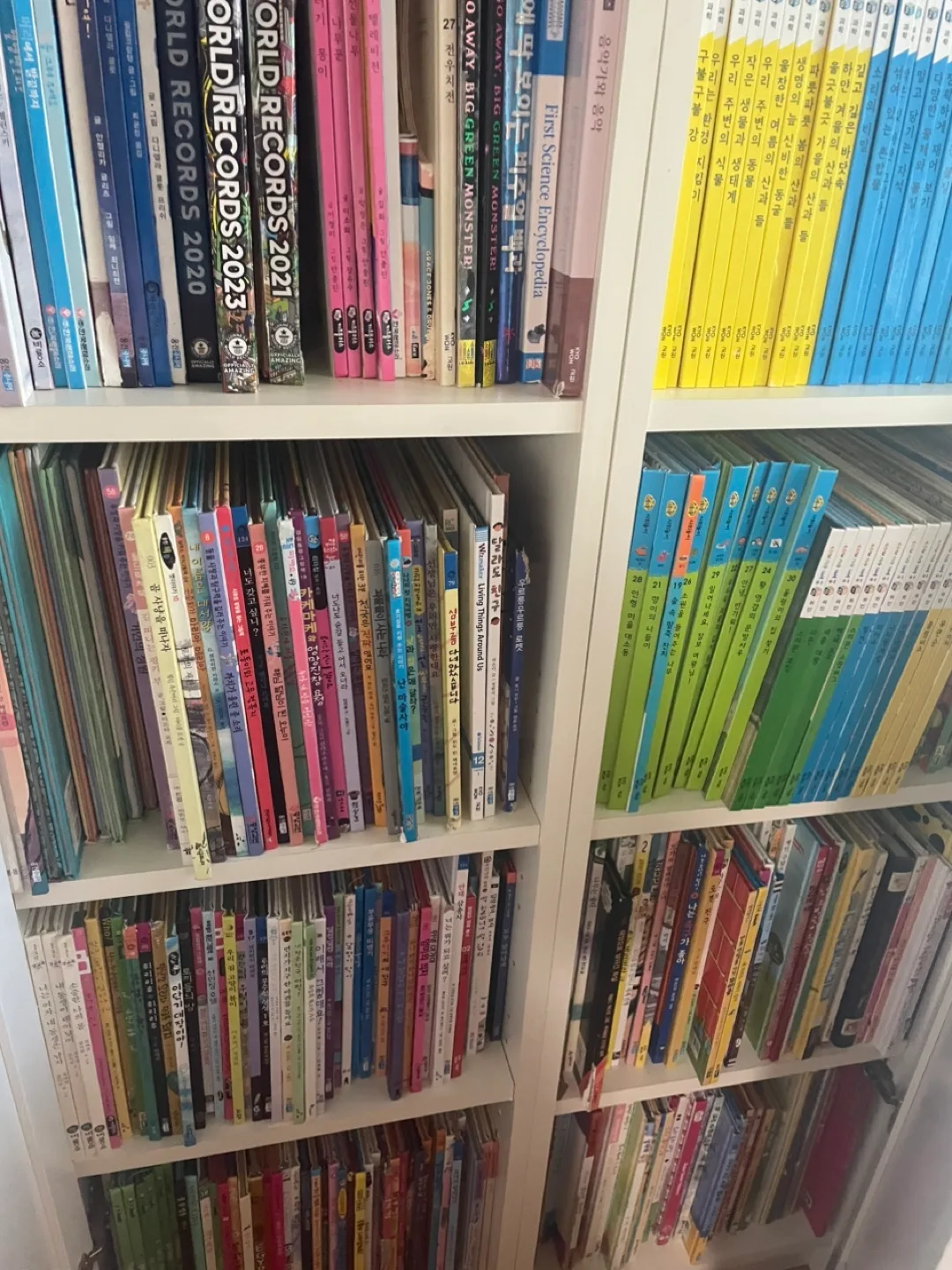 한국책 Bookshelf with Assorted Books image indicator(5)