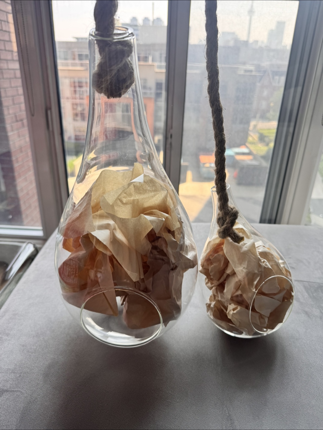 Pair of Hanging Glass Terrariums with Rope - photo 3