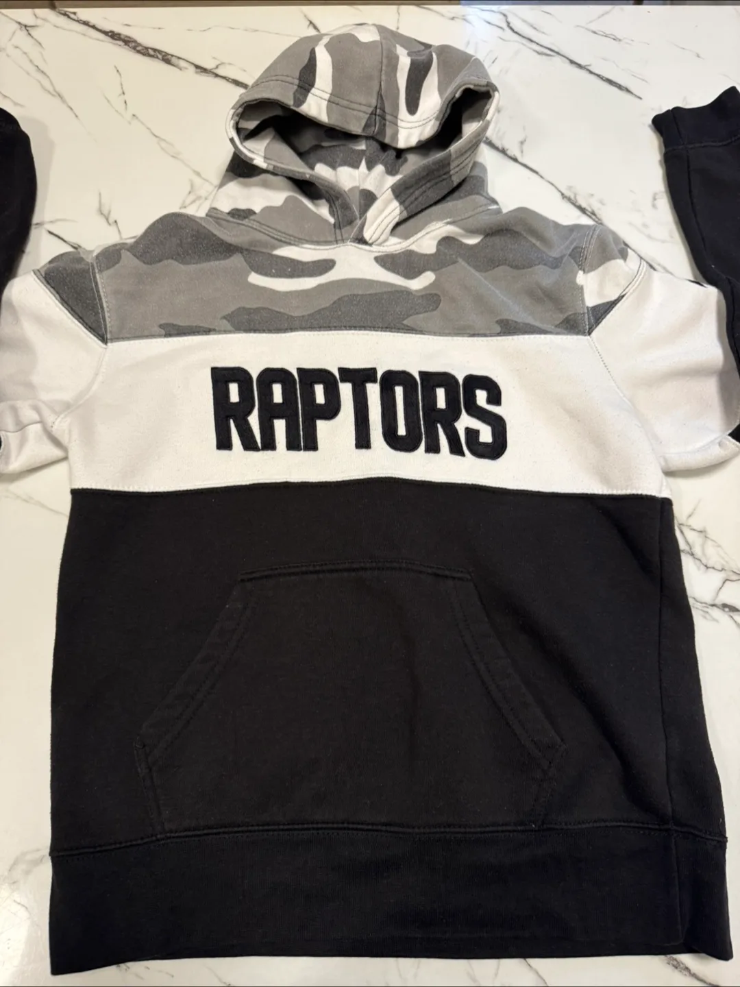 Raptors Hoodie - Youth Size L thumbnail
