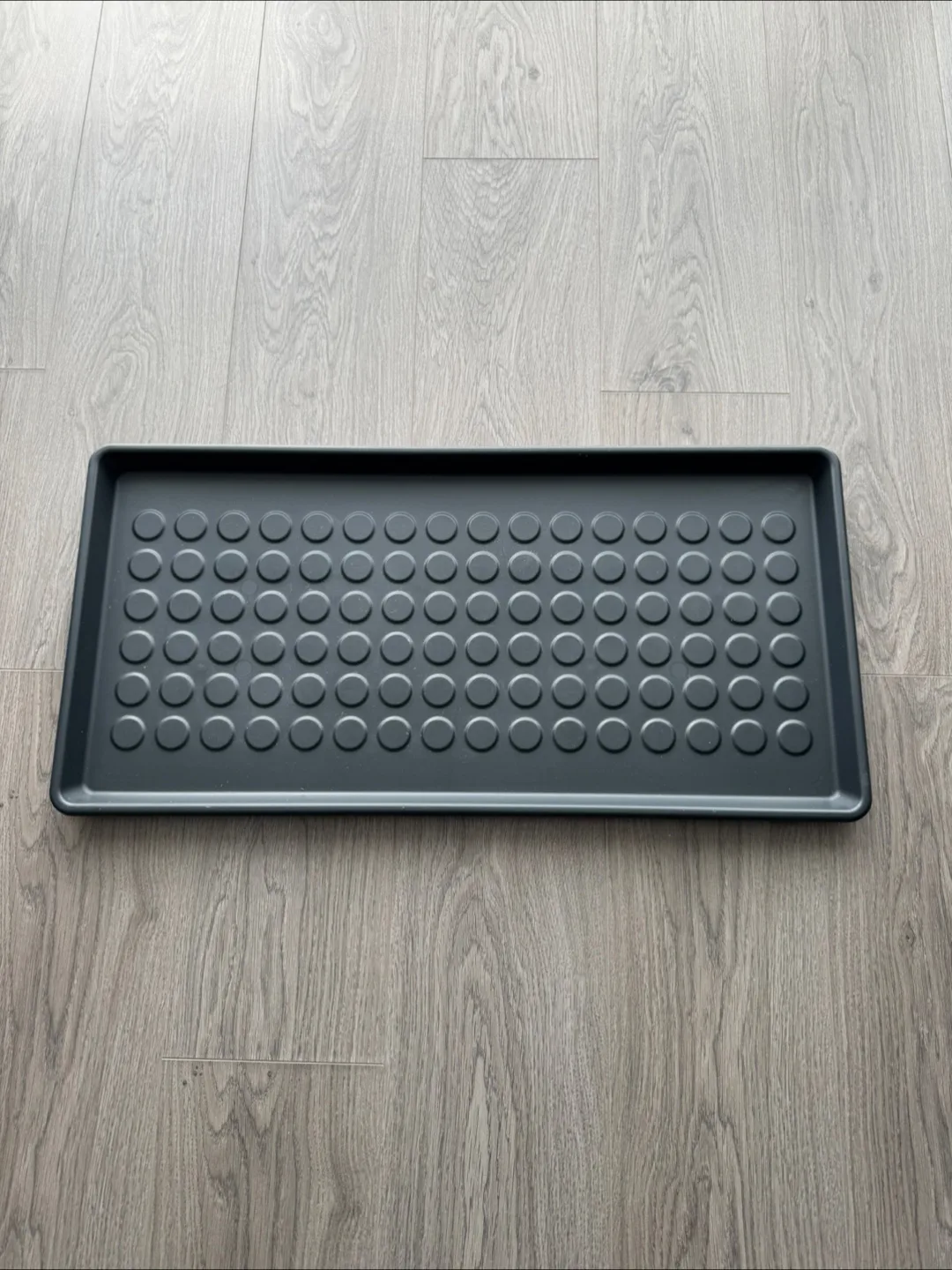 IKEA Baggmuck Shoe Tray