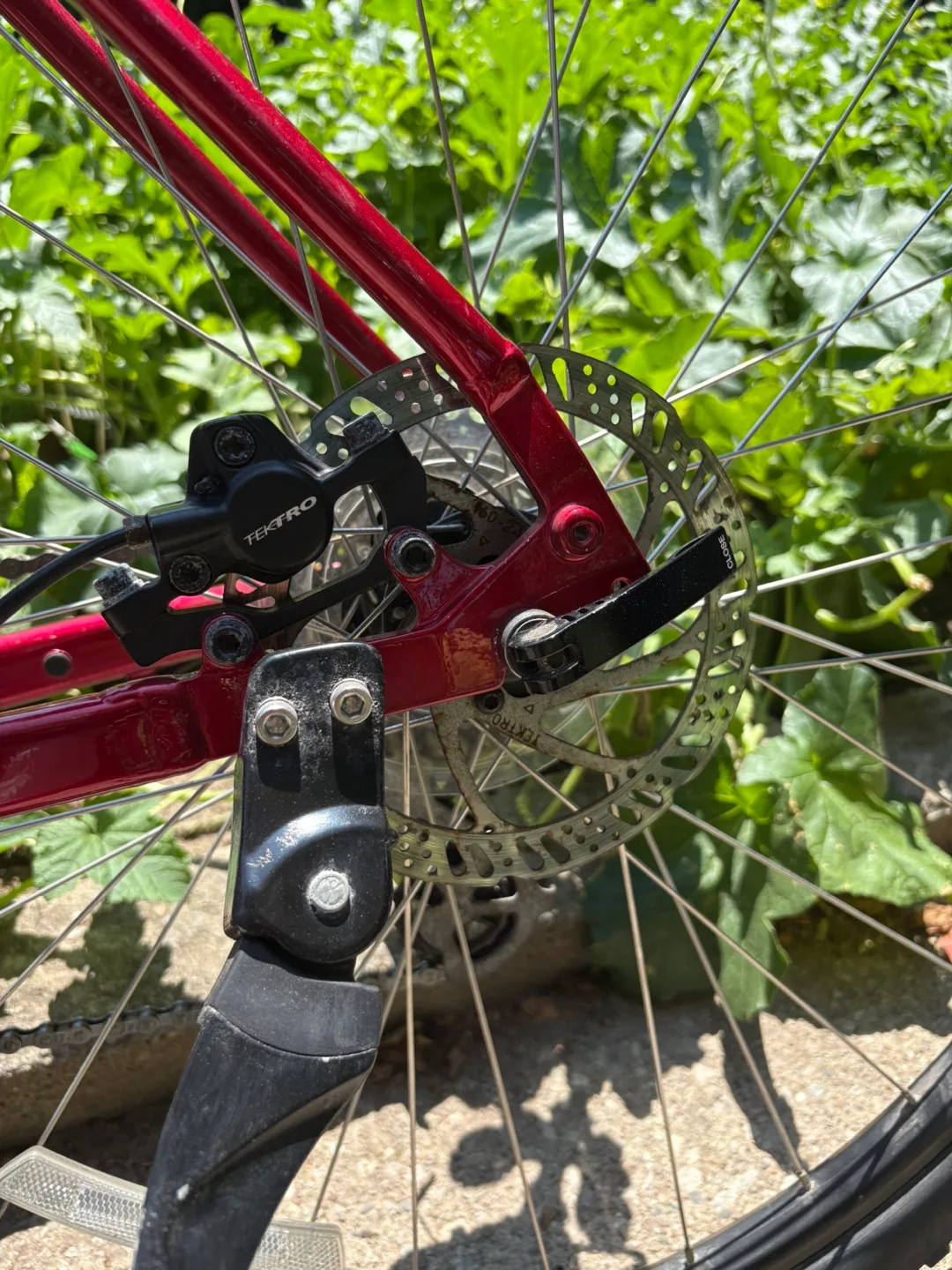 Trek Verve 2 Low Step Bike L Size image indicator(7)