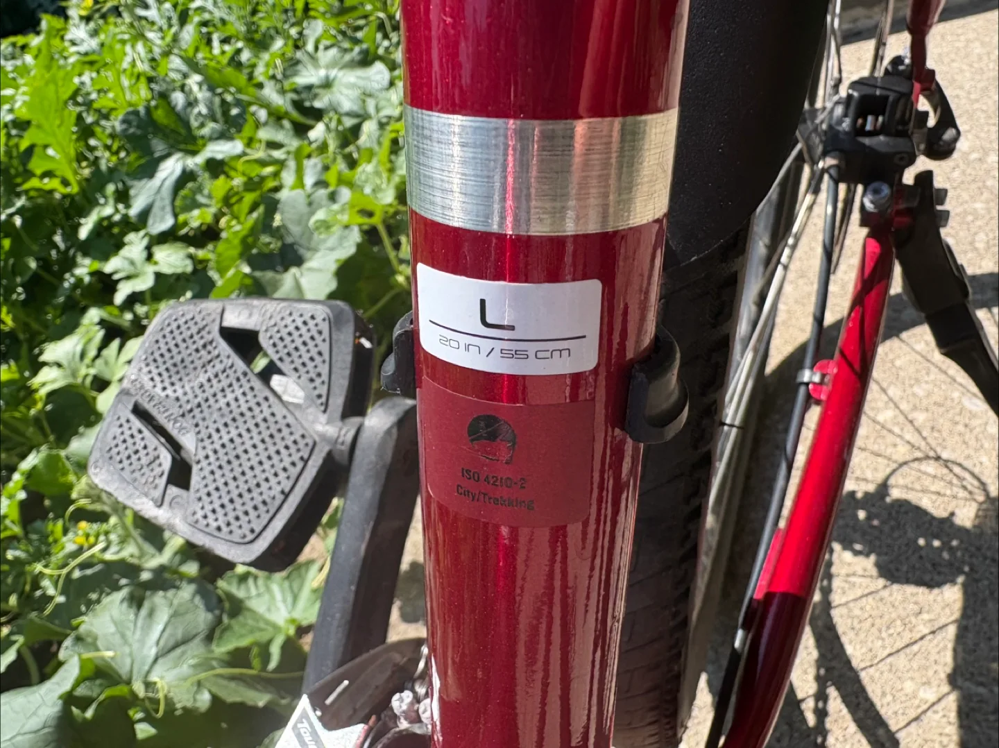 Trek Verve 2 Low Step Bike L Size image indicator(8)