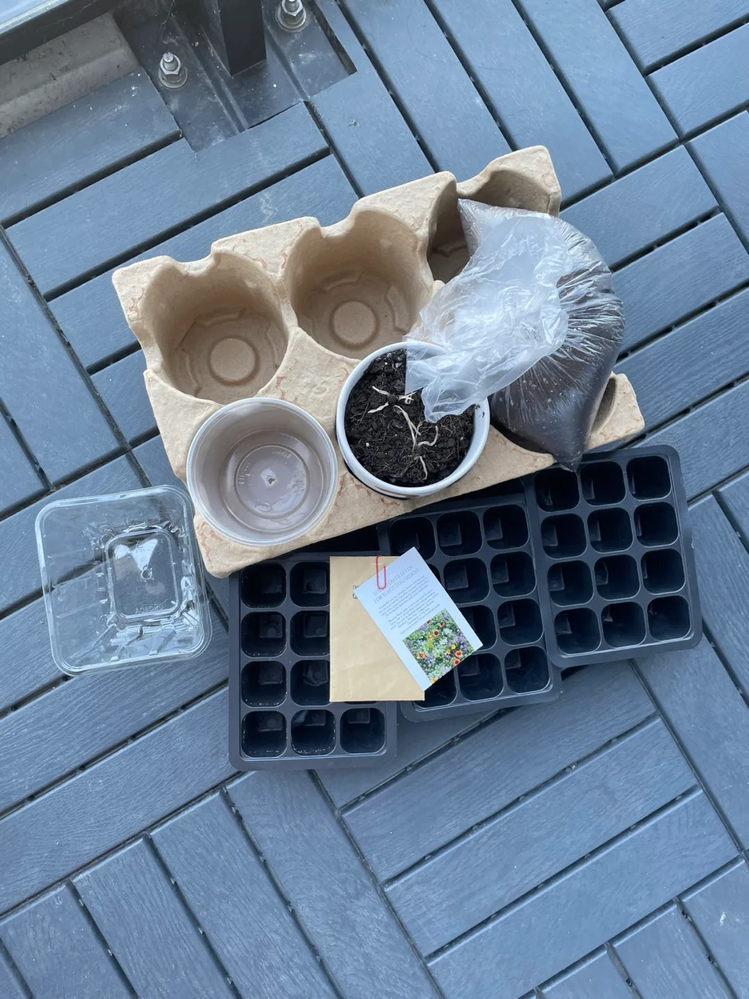 Wildflower Seeds for Toronto Gardens + Starter Kit thumbnail
