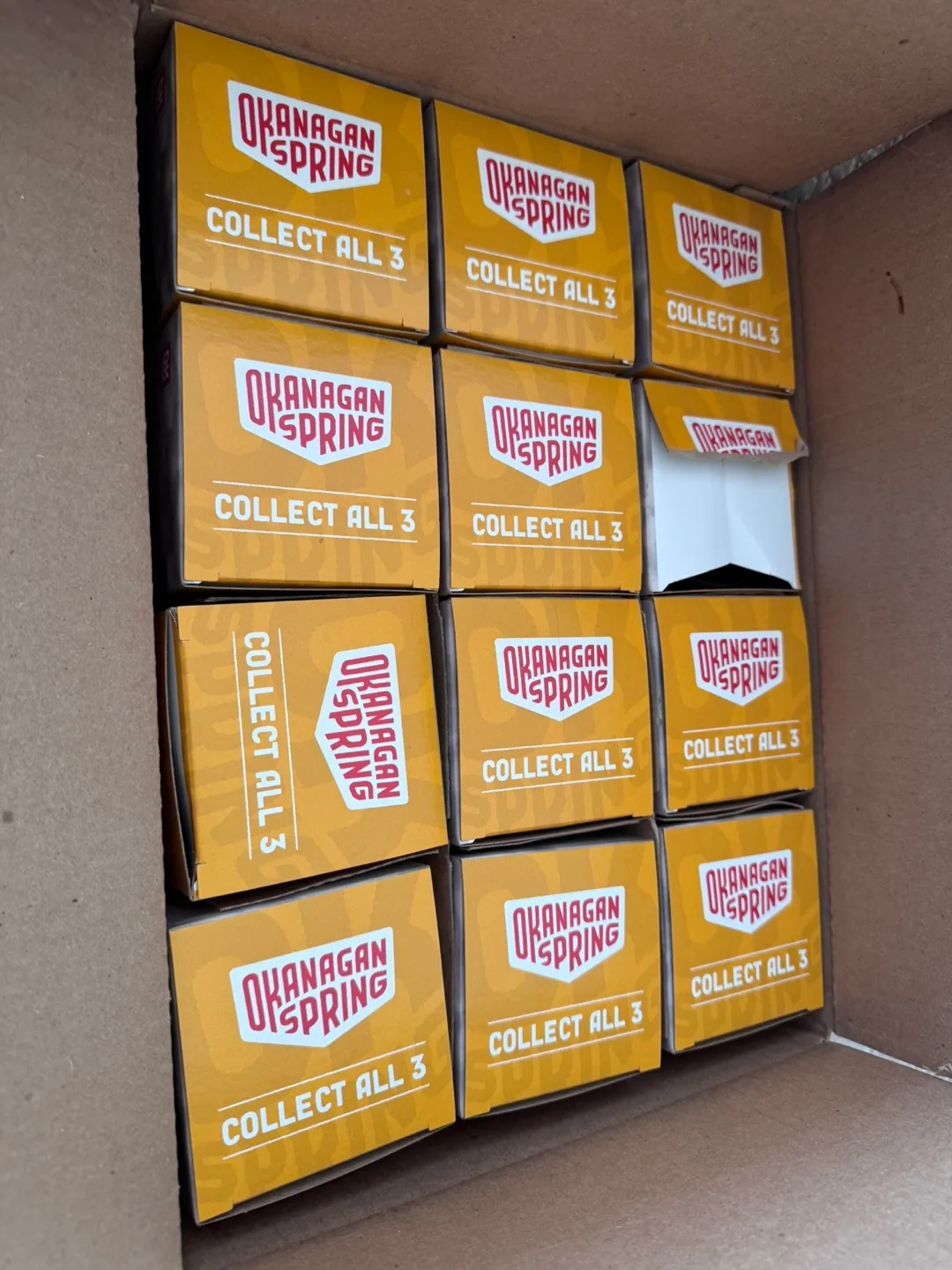 Okanagan Spring Summerland Apricot Ale Bonus Pint Glass image indicator(4)