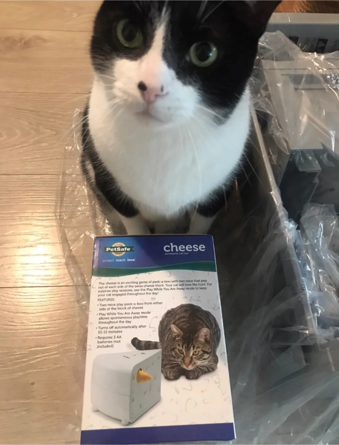 ‼️MOVING SALE‼️ PetSafe Cheese Automatic Cat Toy - New in Box! image indicator(2)