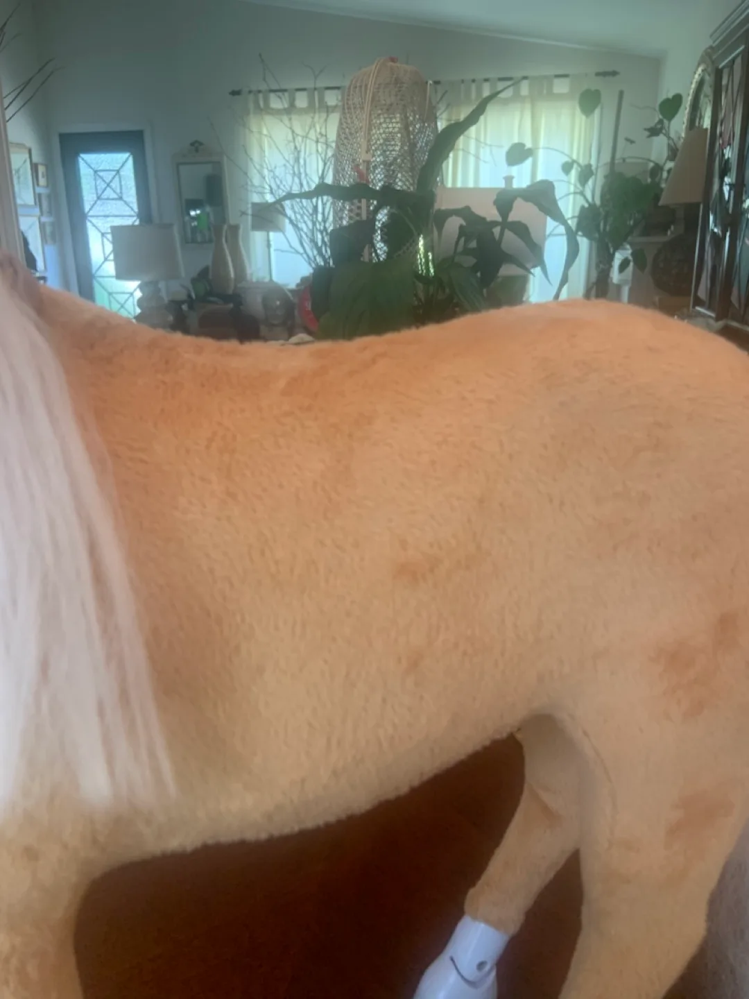 Paradise Horses 19” x 22" Chestnut•American Girl Dolls ! image indicator(10)