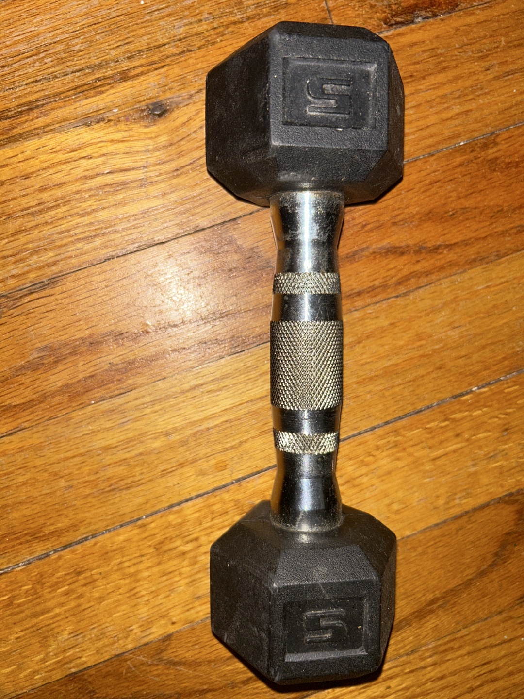 🧡 5 lb Dumbbell