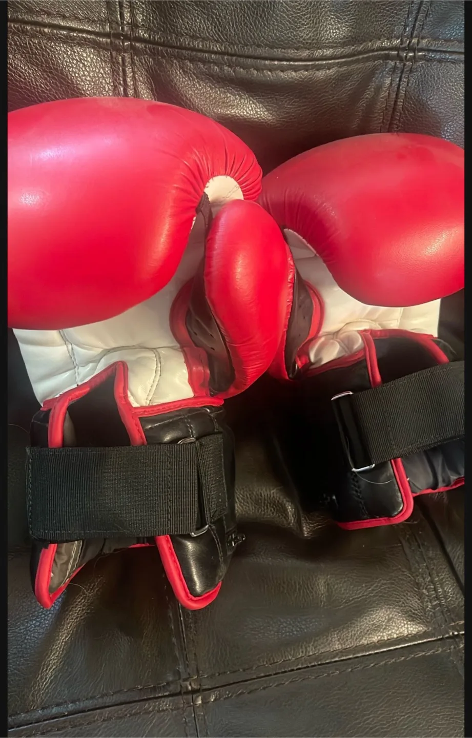 TITLE Classic Power Weighted Bag Boxing Gloves image indicator(2)