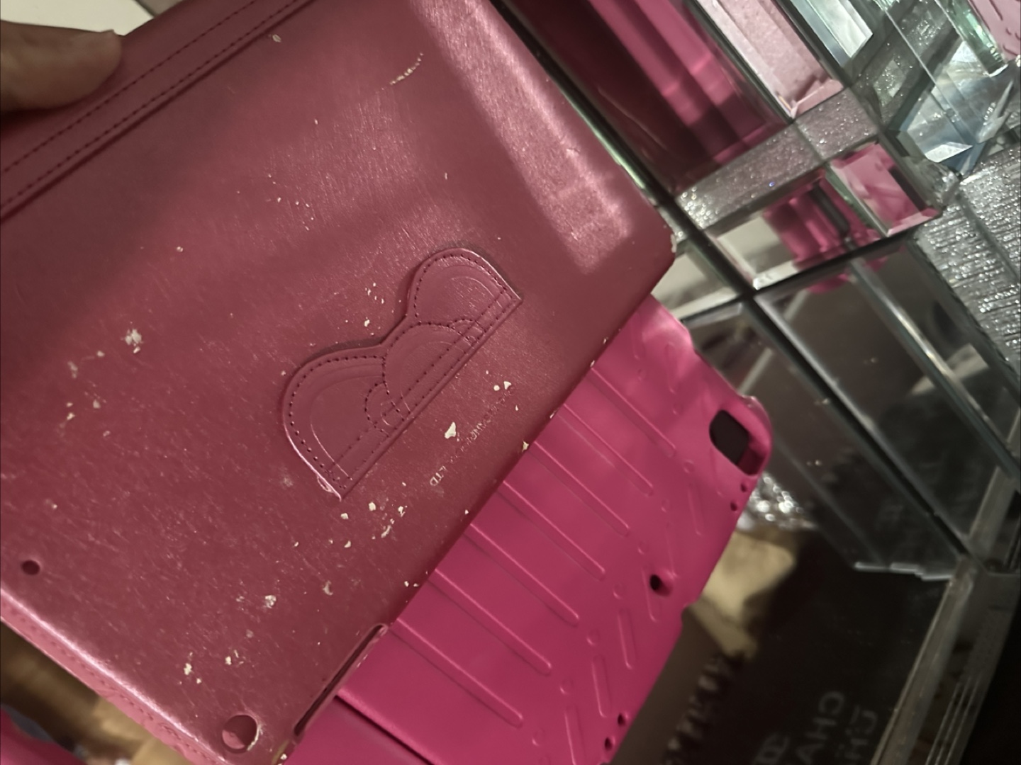 Variety of iPad Cases - photo 5