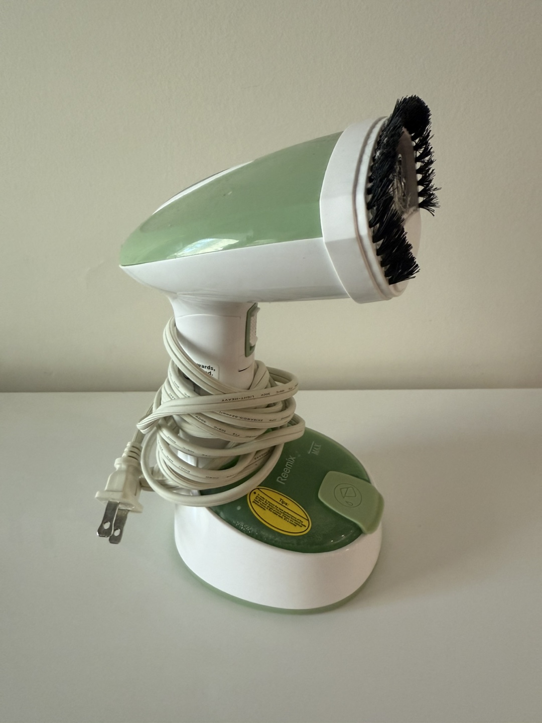 Steamer with Brush - Green and White
