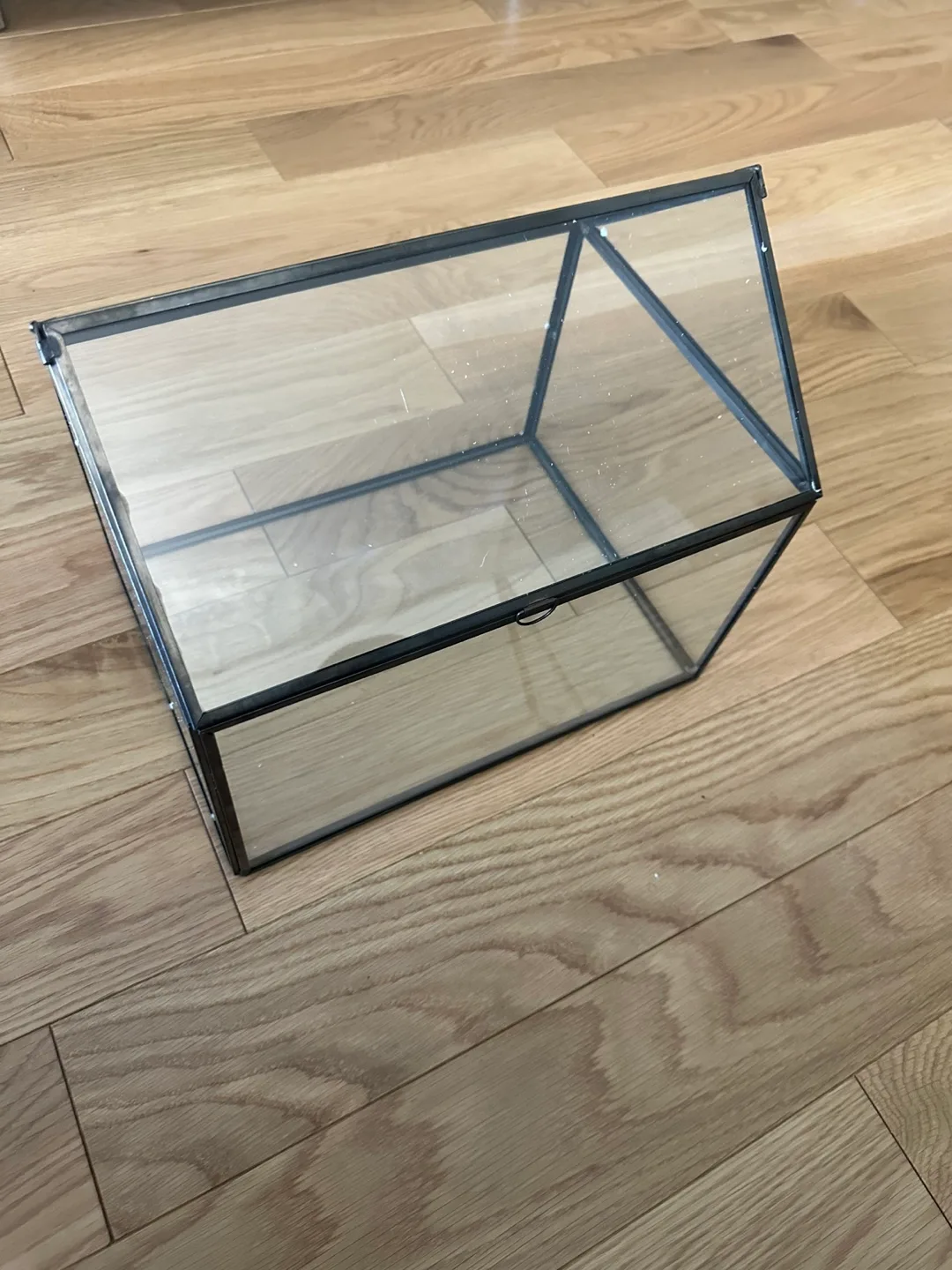 Large Glass Terrarium/Card Box thumbnail