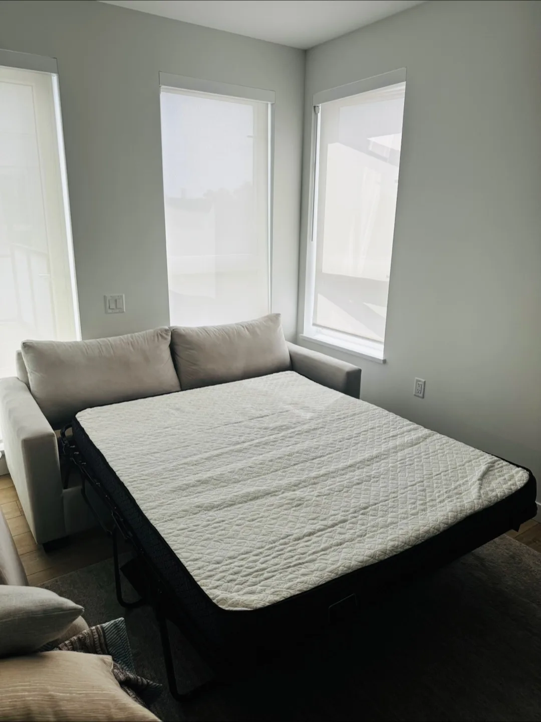 Double Sleeper Sofa image indicator(4)