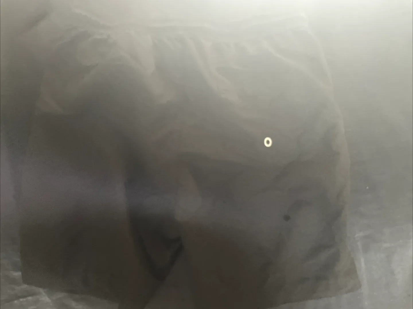 Black swimming shorts image indicator(3)