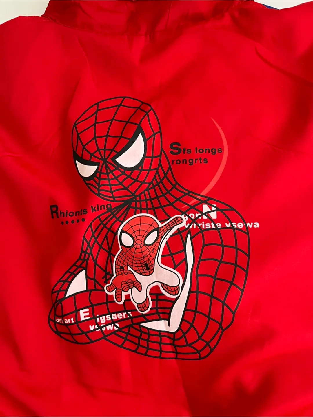 Spiderman type Jacket - Size 6 image indicator(3)