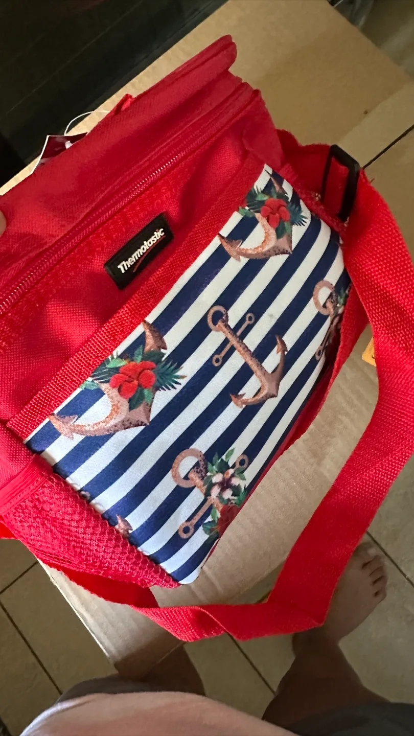 Thermostatic Insulated Lunch Bag - New with Tags! image indicator(5)