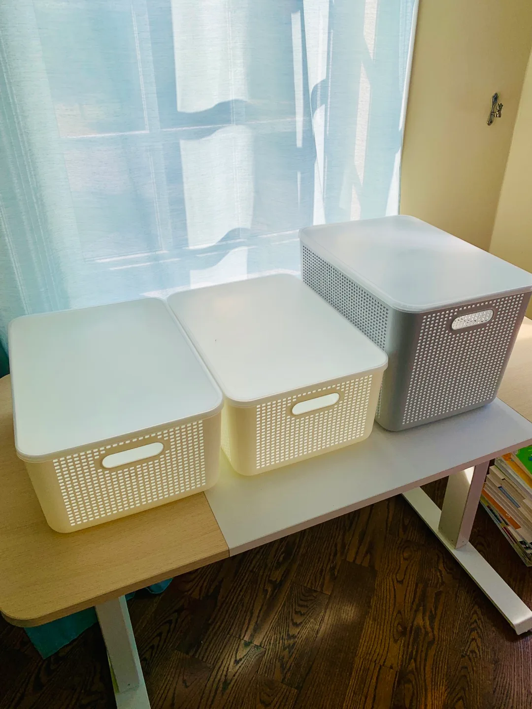 Convenient Storage with Lids - Set of 3 image indicator(3)