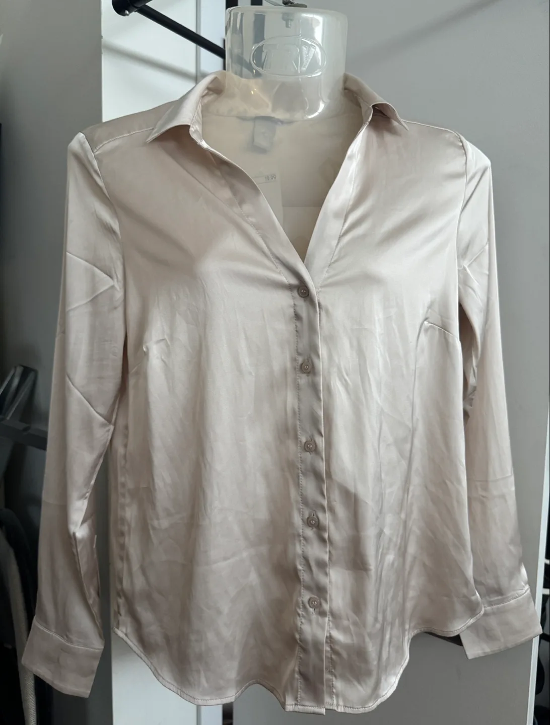 H&M XS Champagne Button-Up Shirt image indicator(5)