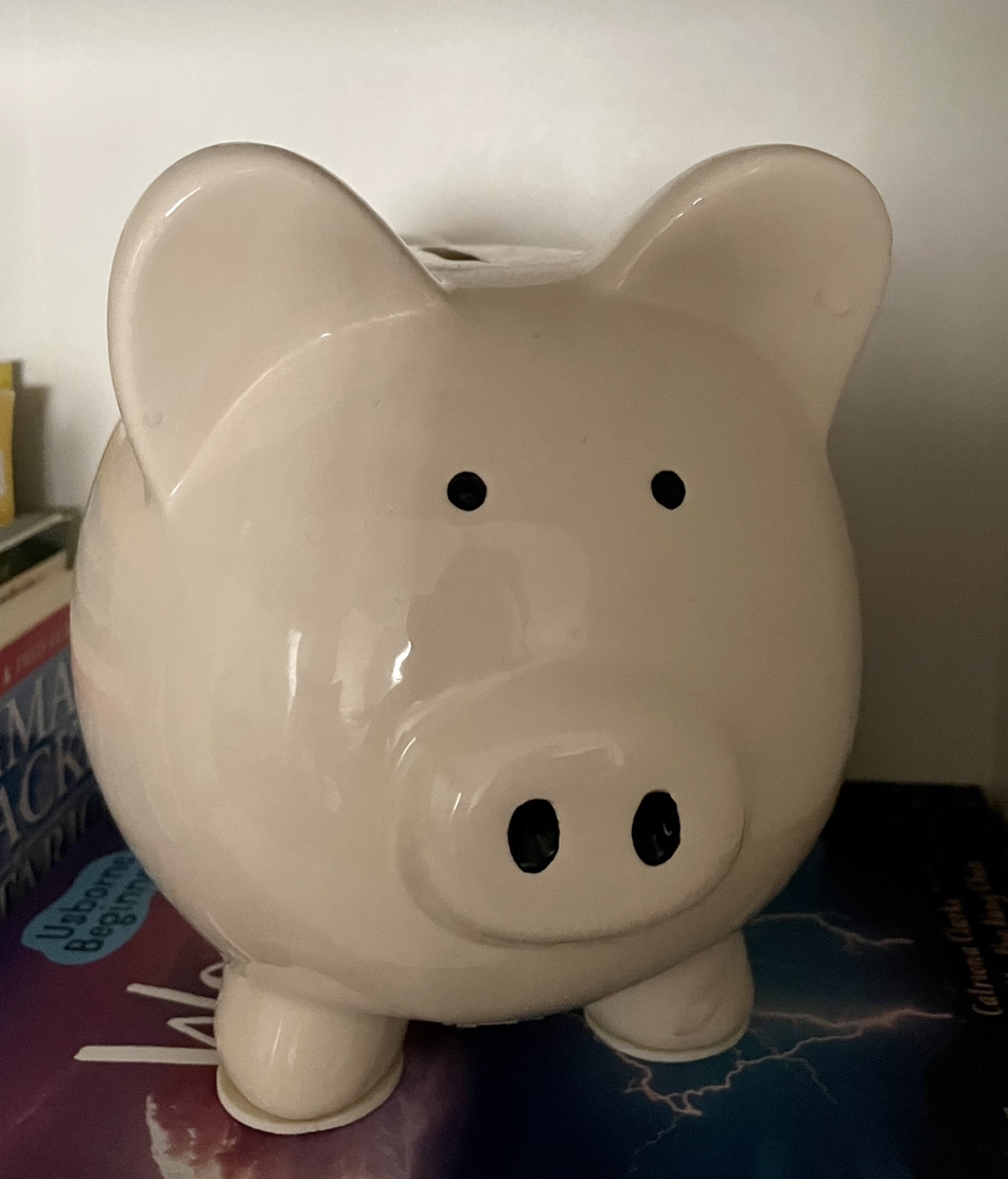 Piggy Bank