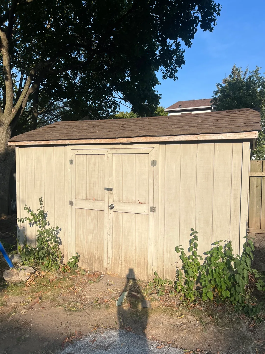 Storage Shed thumbnail