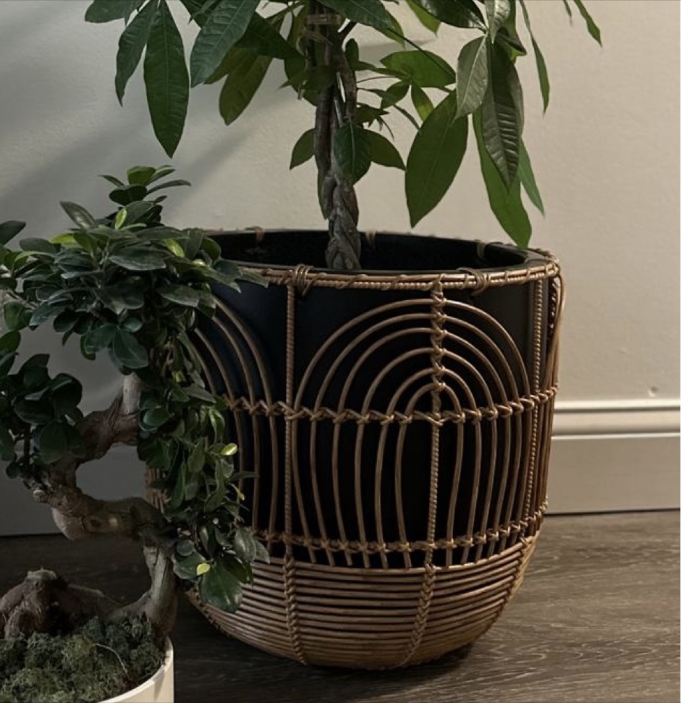 Black & Wicker Design Planter