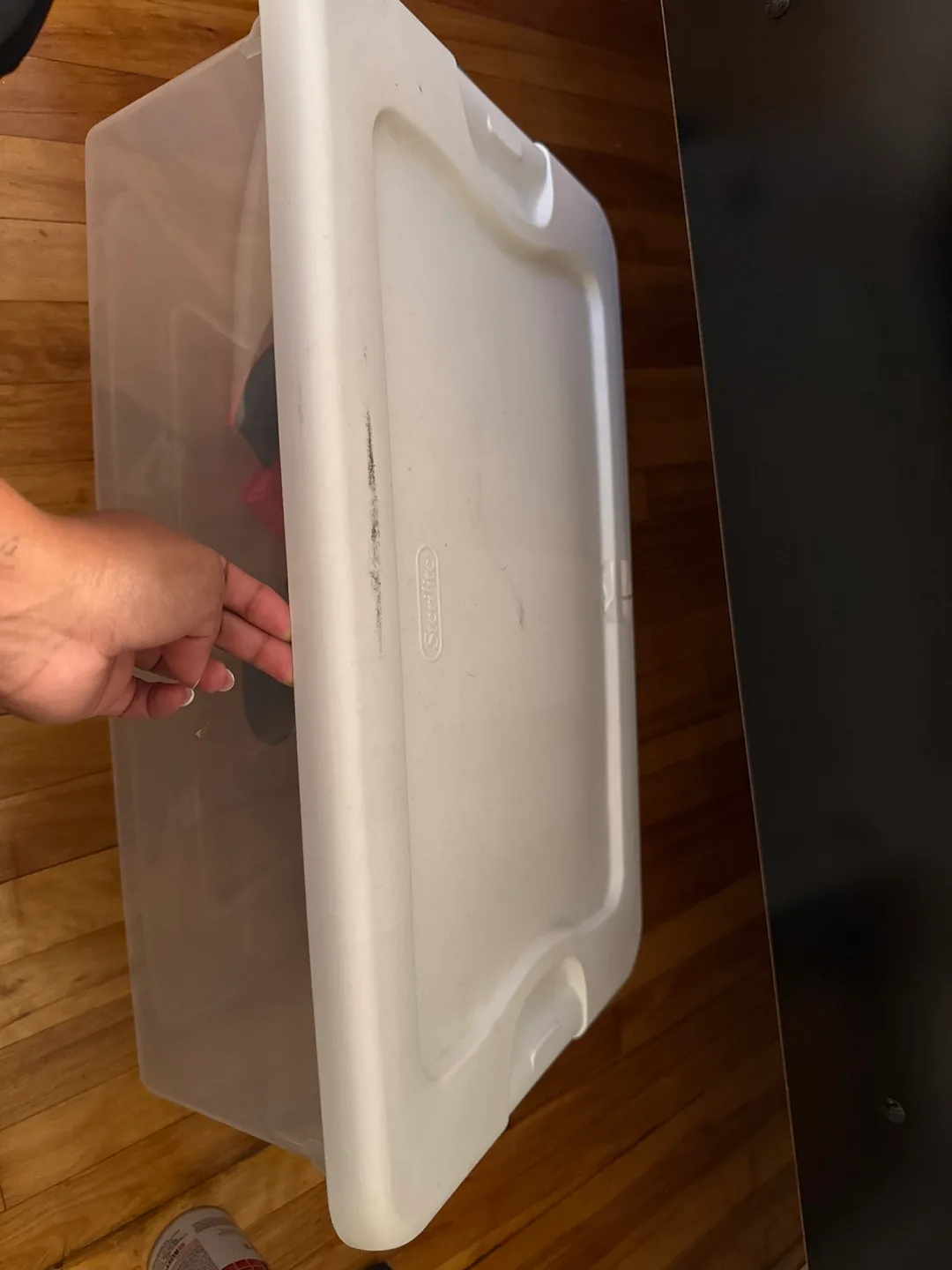 Sterilite Storage Box thumbnail
