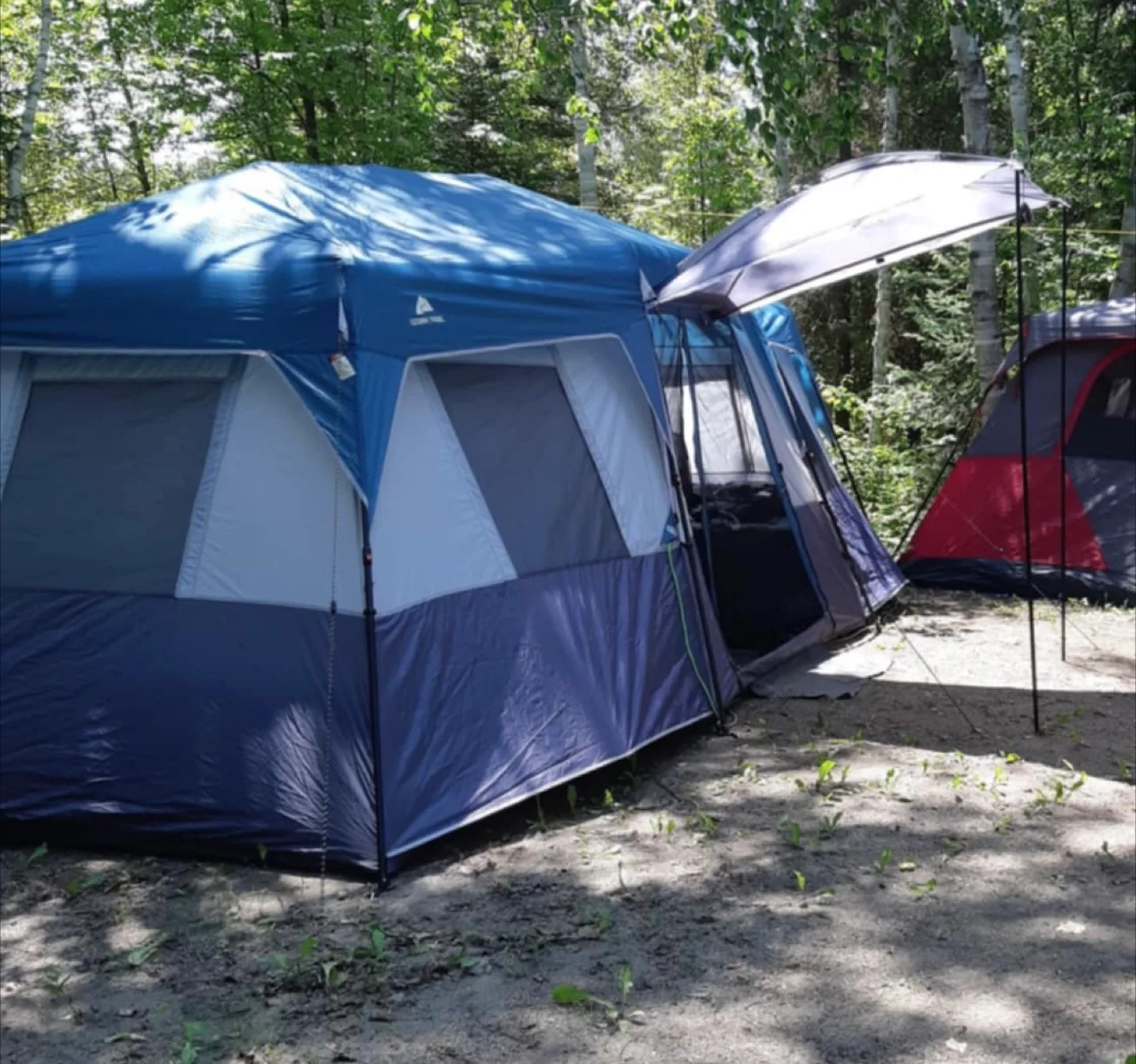 Is the Ozark 12P a Good Tent Backpacking Choice? Expert Review