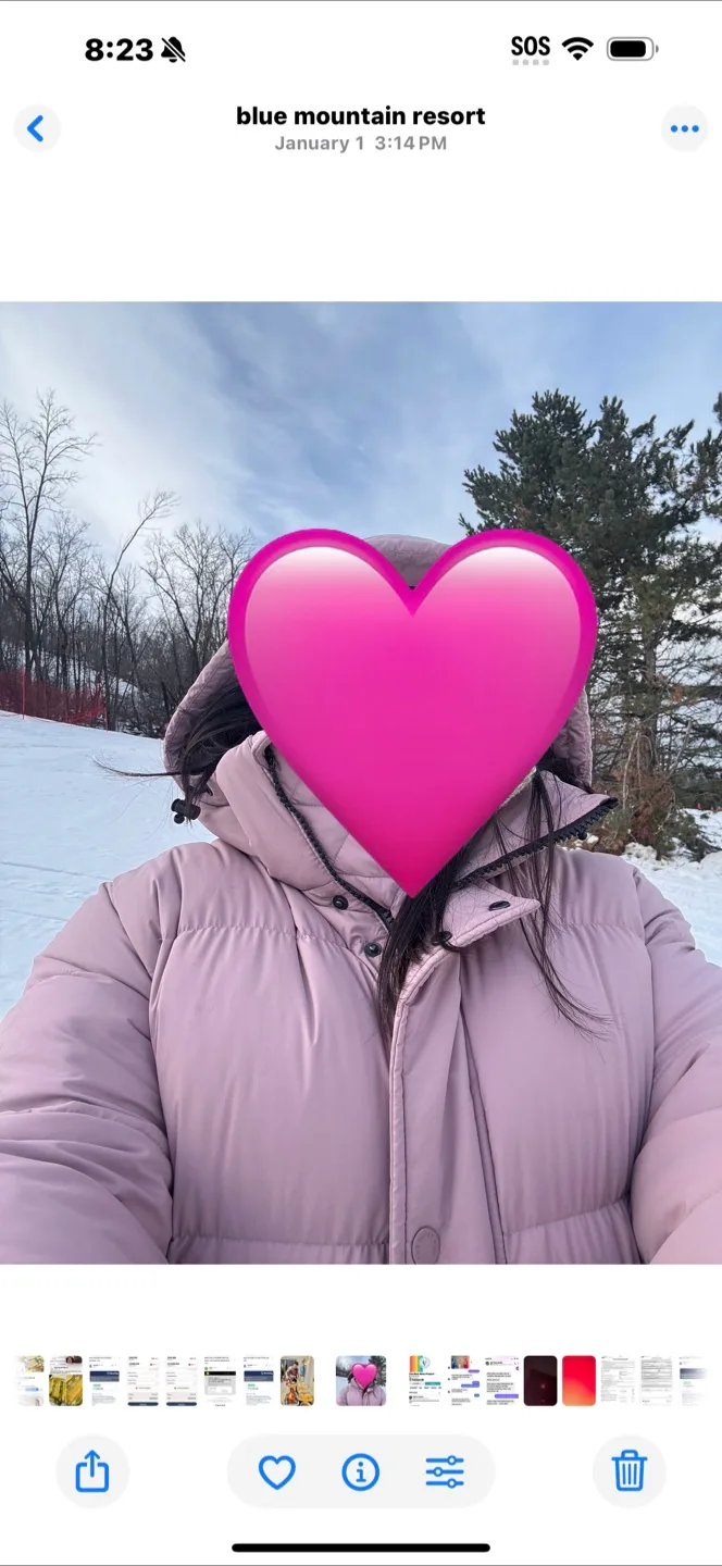 Aritzia The Super Puff Shorty - cliMATTE™ image indicator(2)