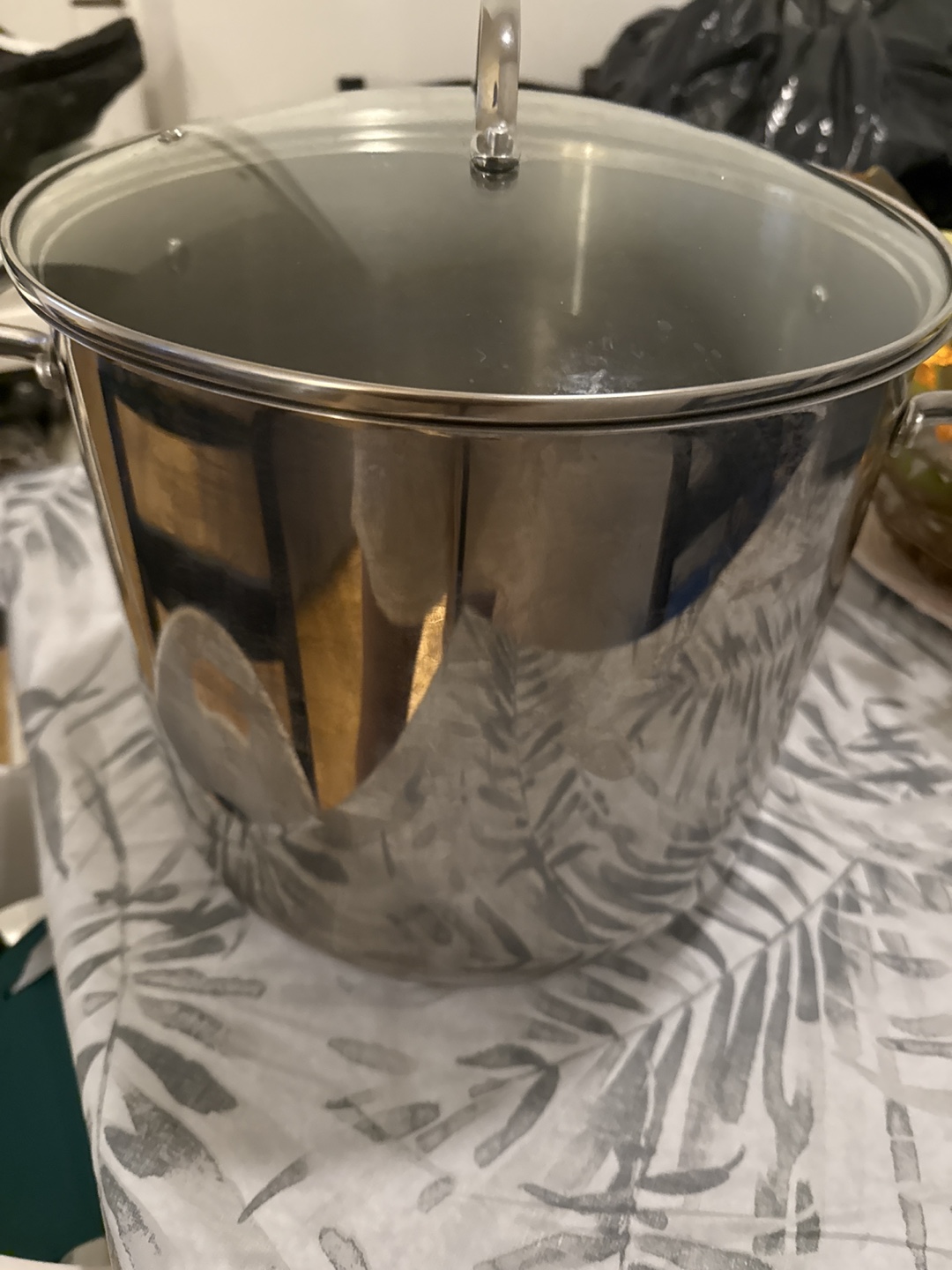 Master Chef Stainless Steel Stock Pot with Lid
