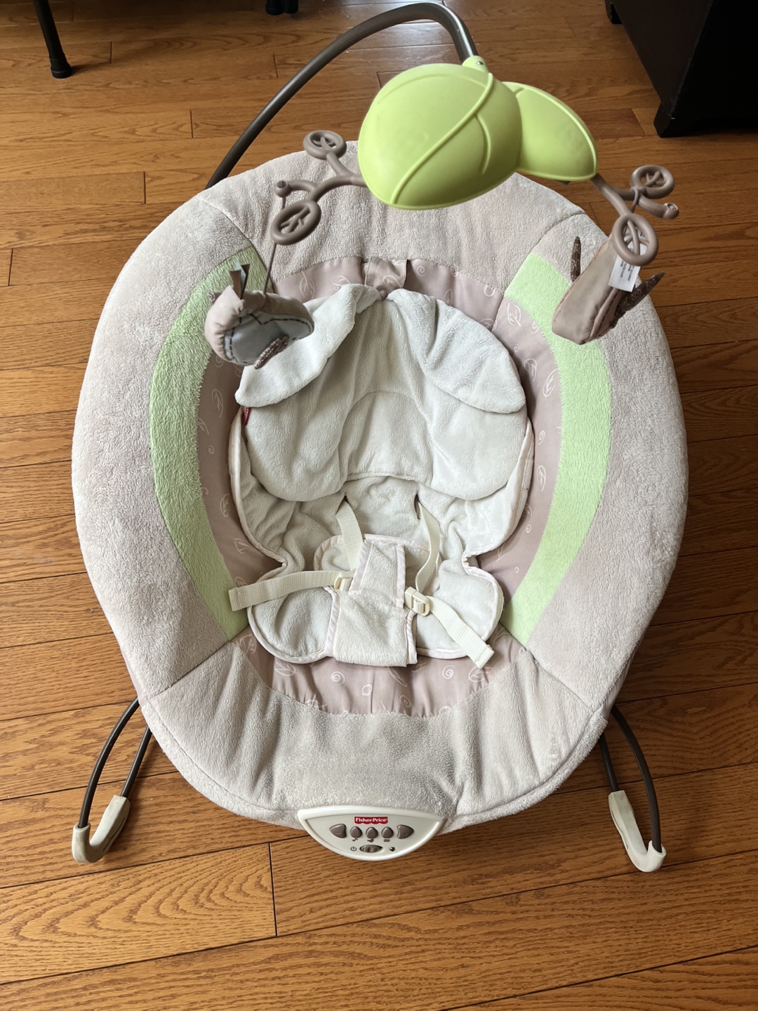 Fisher-Price Baby Bouncer