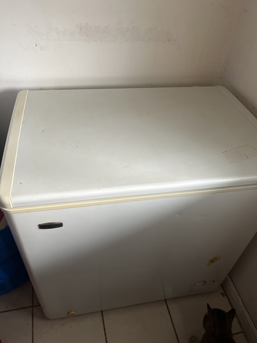 Danby Chest Freezer