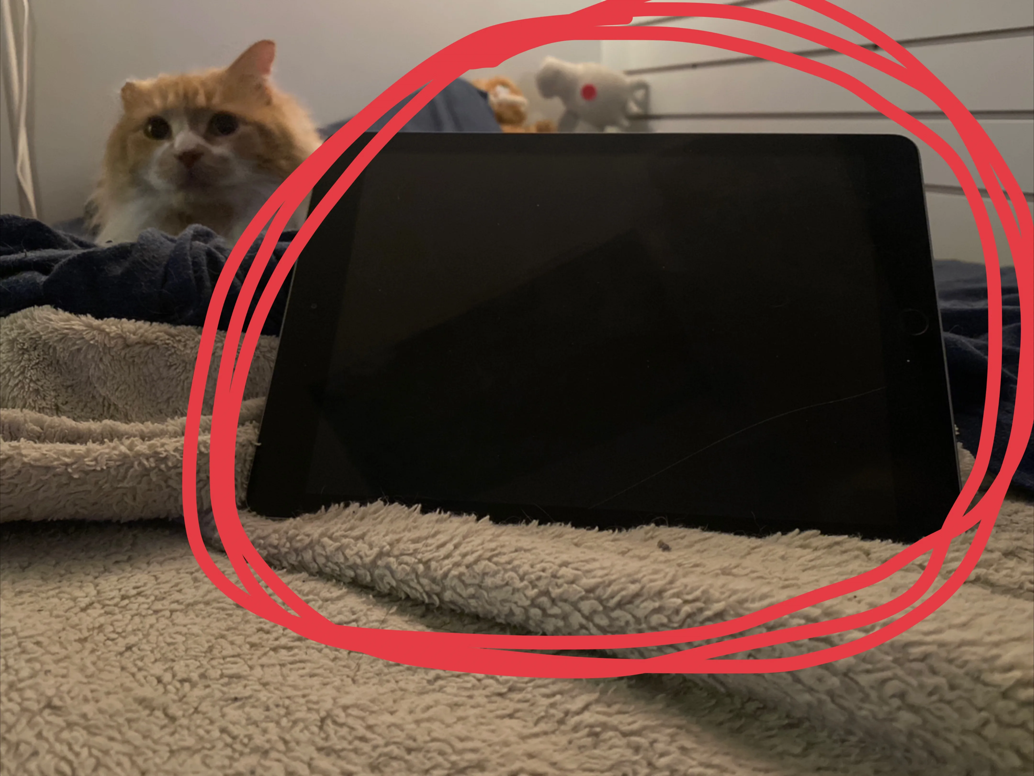 iPad 6th Gen 32GB (slightly damaged) image indicator(3)