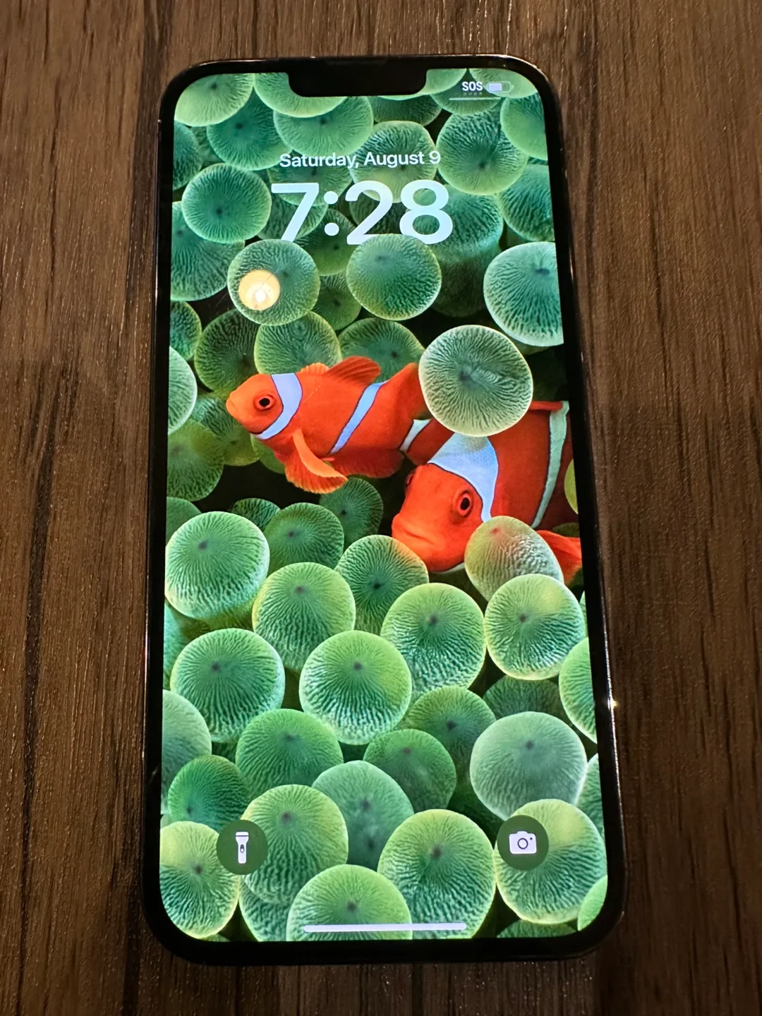 iPhone 13 Pro Max 1 TB unlocked thumbnail