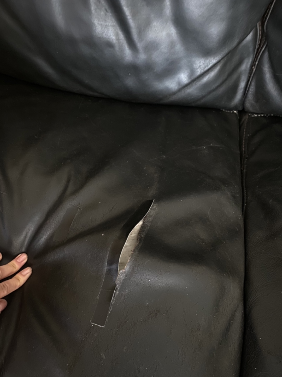 Free leather couch/sofa - photo 3