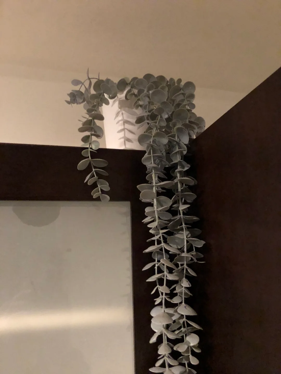 Artificial  Hanging Plant thumbnail