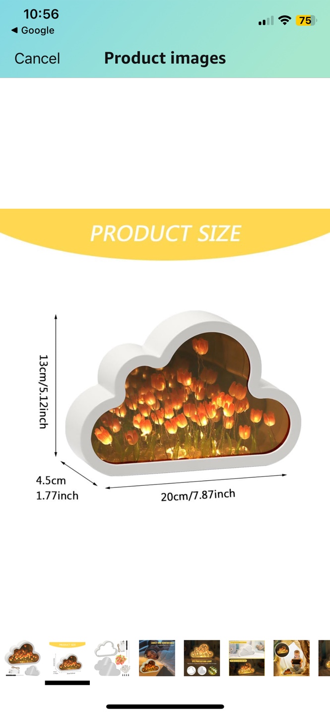 Cloud Tulip Night Light - Mirror & Lamp