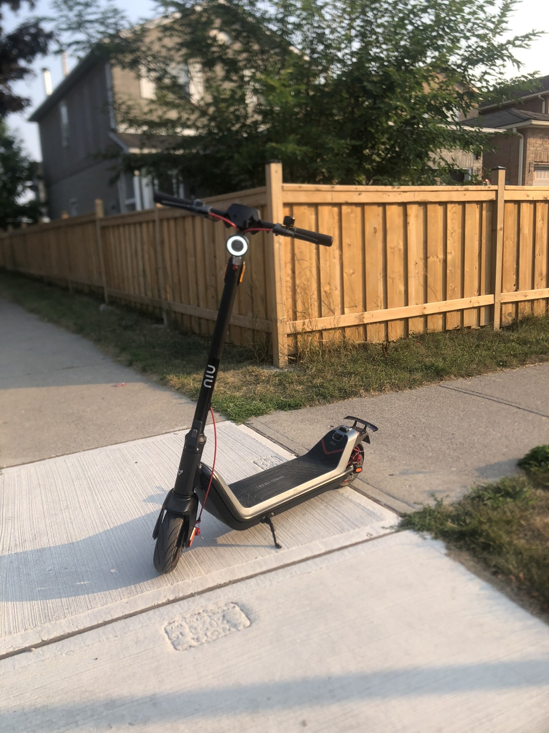 NIU Electric Scooter