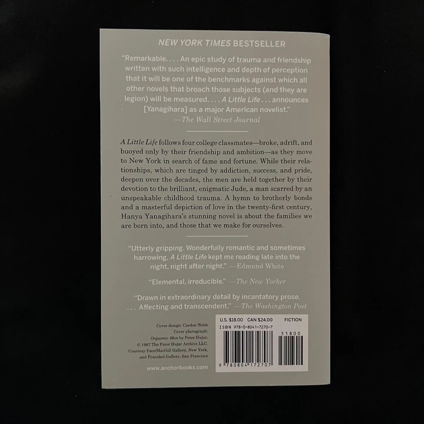 A Little Life by Hanya Yanagihara image indicator(2)