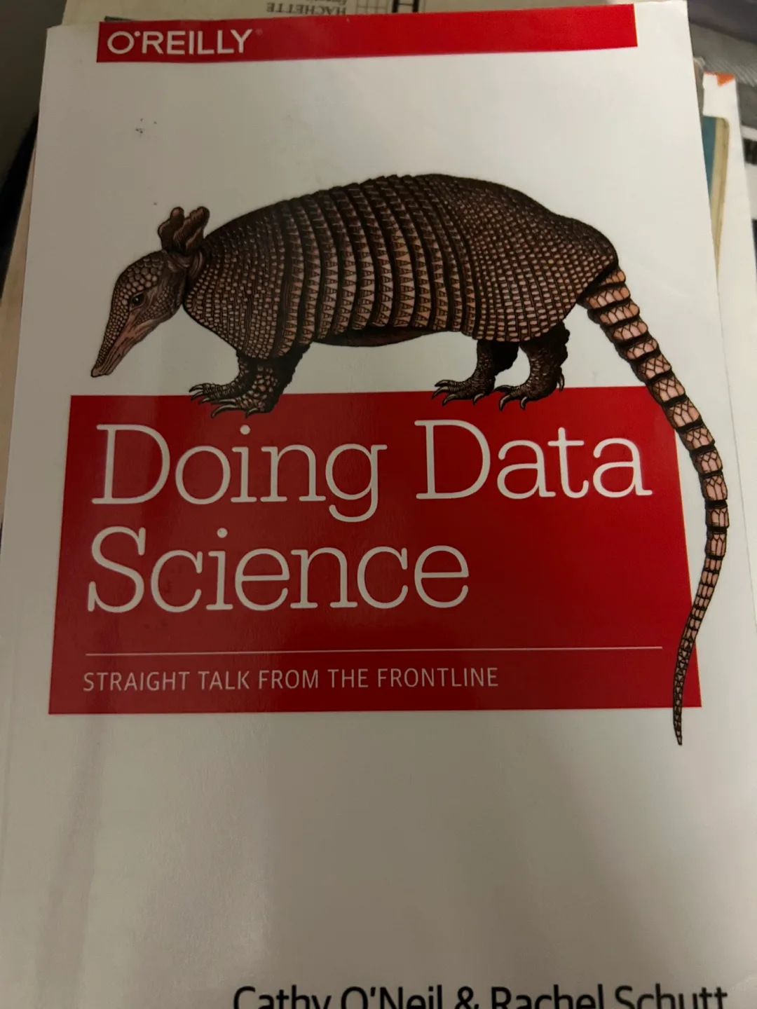 Doing Data Science by Cathy O'Neil & Rachel Schutt thumbnail