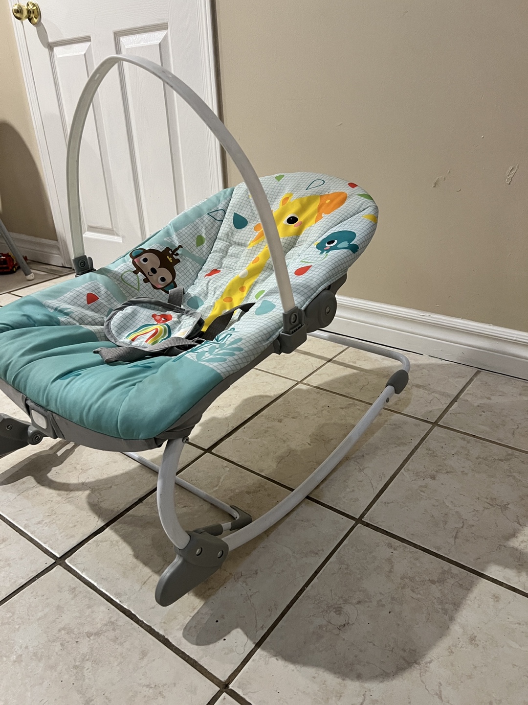 Bright Starts Baby Bouncer