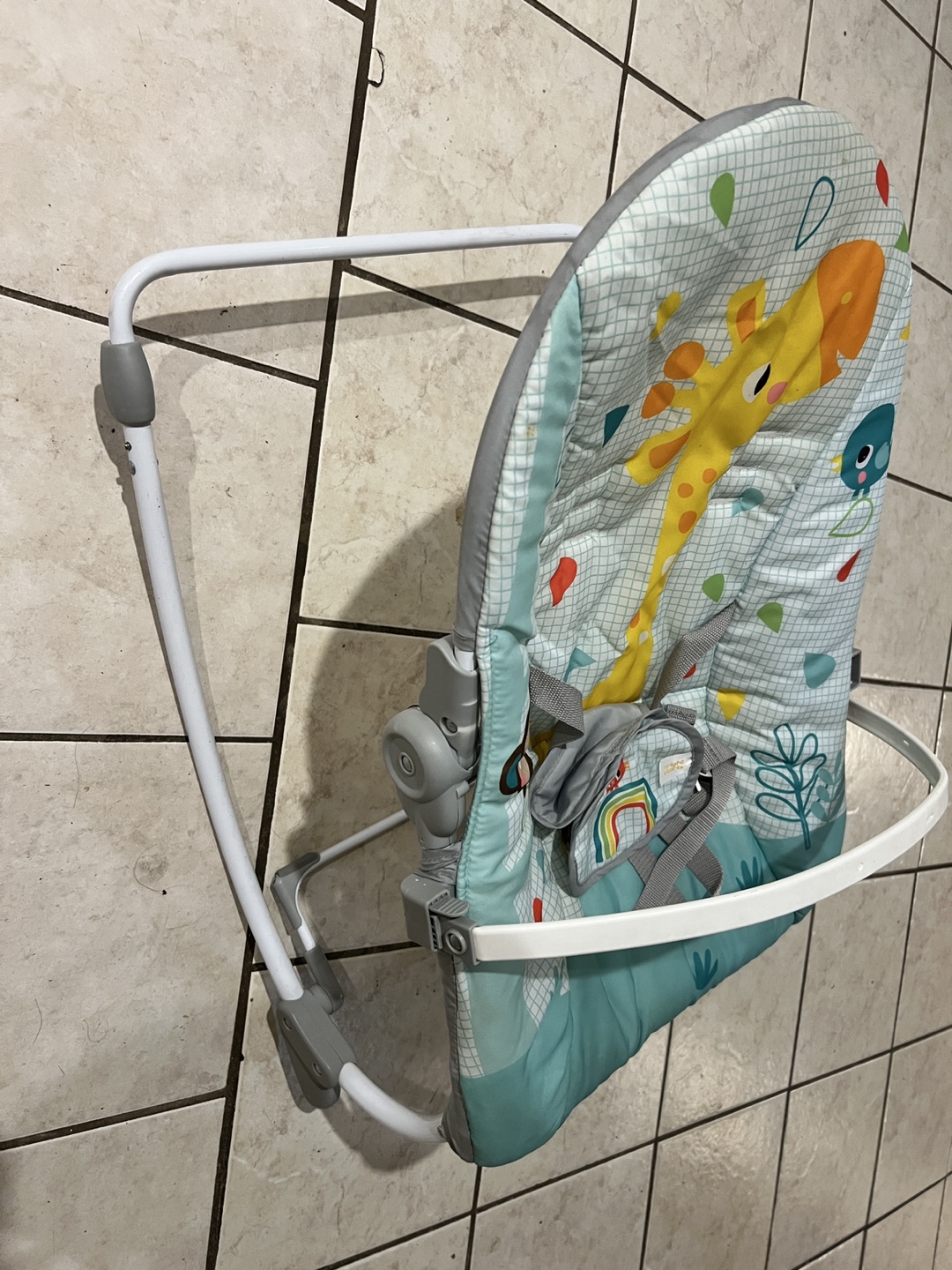 Bright Starts Baby Bouncer - photo 3