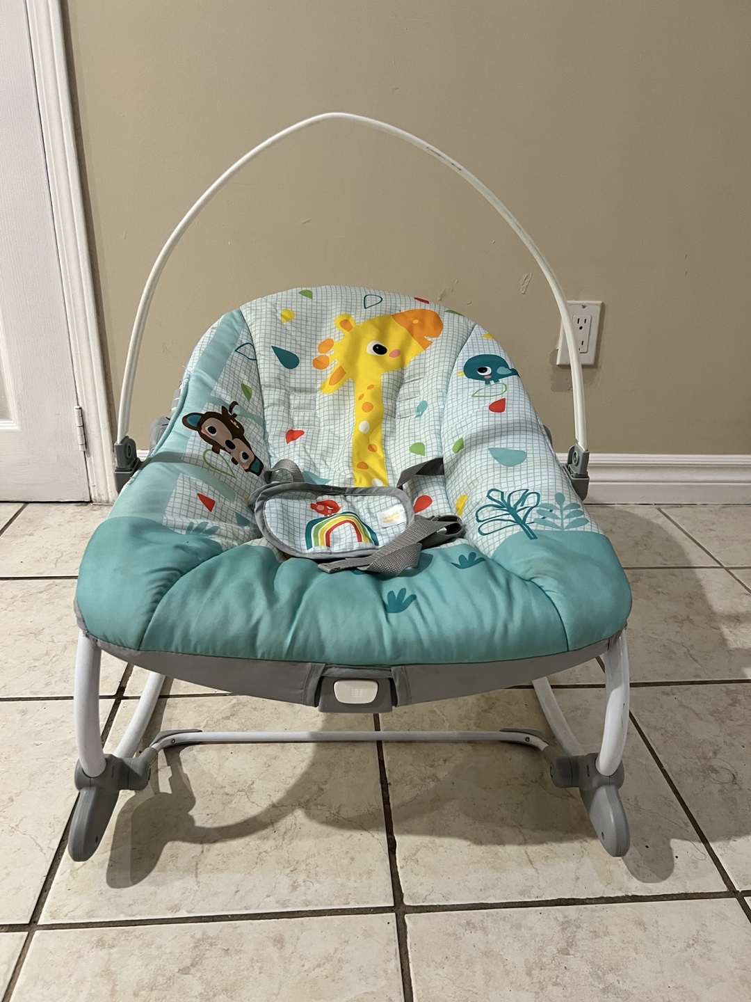 Bright Starts Baby Bouncer - photo 2