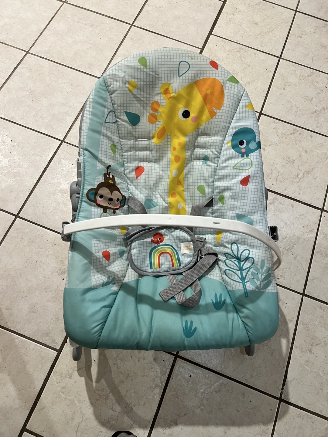 Bright Starts Baby Bouncer - photo 4