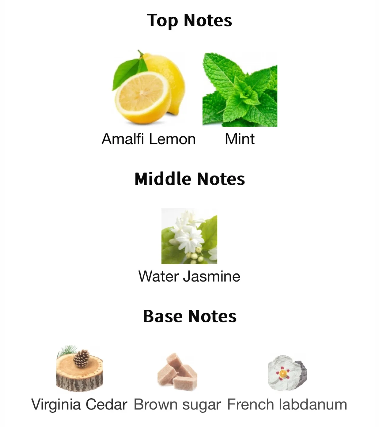 Giorgio Armani Acqua di Gioia Travel Spray - 10ml image indicator(3)