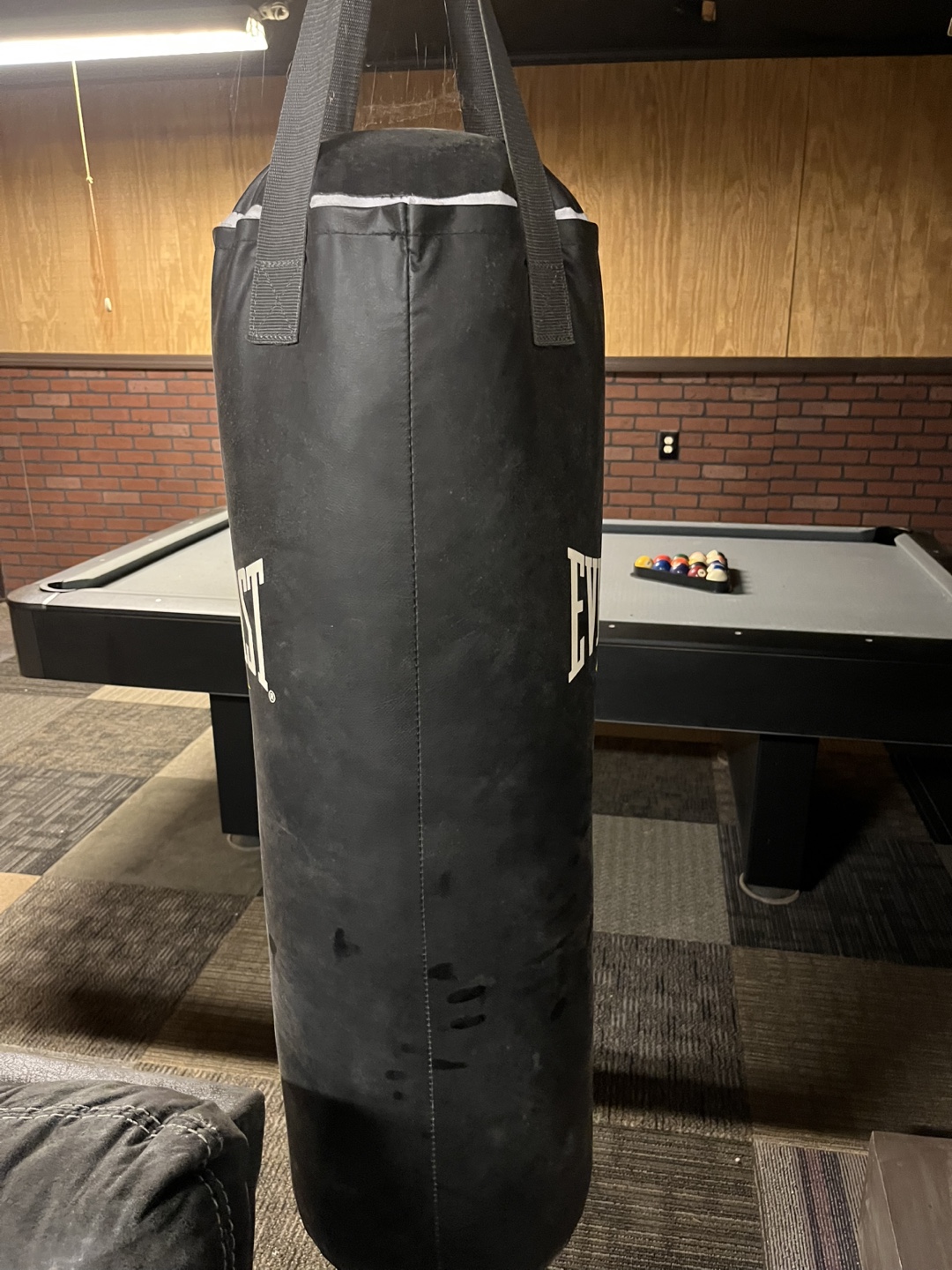 Everlast Punching Bag