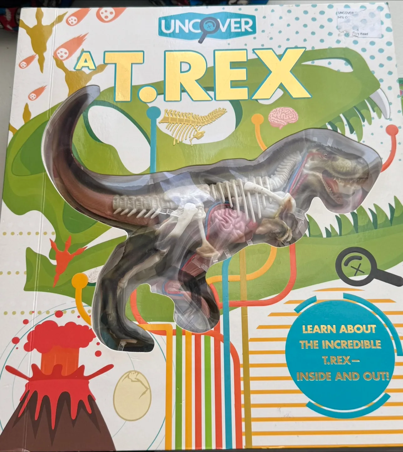 Uncover a T. Rex Book thumbnail