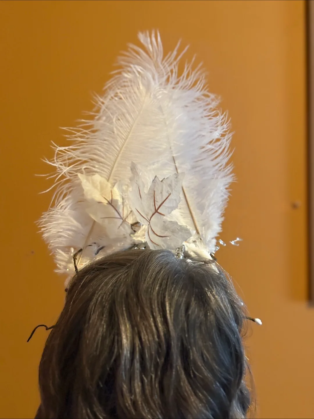 Feather and crystal  Headdress image indicator(2)