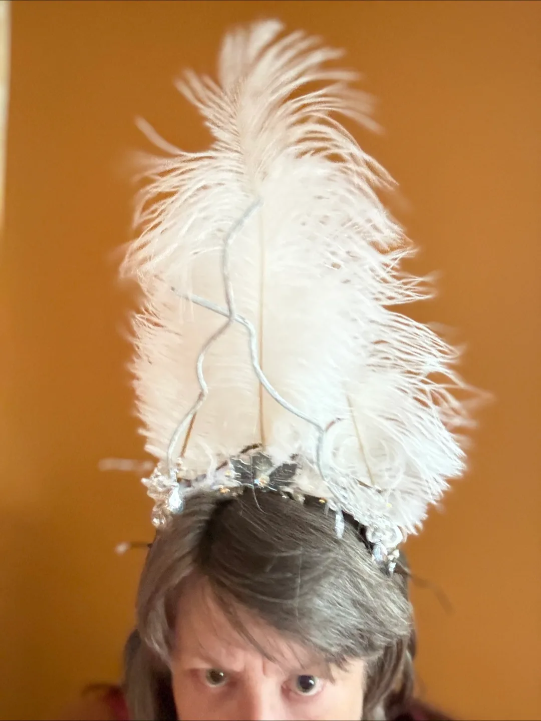 Feather and crystal  Headdress image indicator(3)